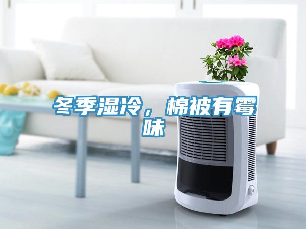冬季濕冷，棉被有霉味