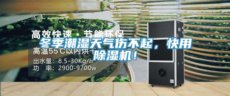 冬季潮濕天氣傷不起，快用除濕機！
