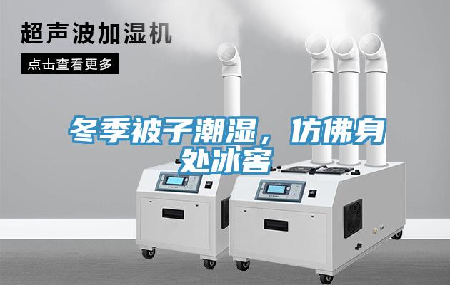 冬季被子潮濕，仿佛身處冰窖