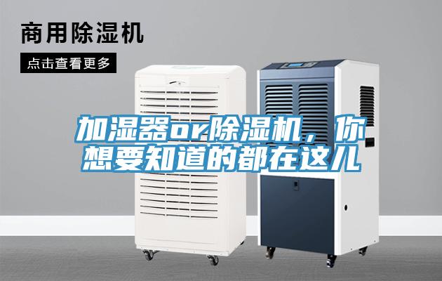 加濕器or除濕機，你想要知道的都在這兒