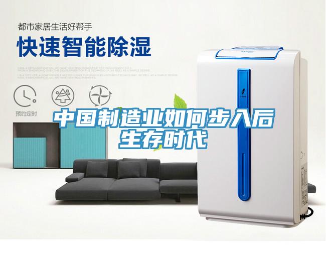 中國制造業(yè)如何步入后生存時(shí)代