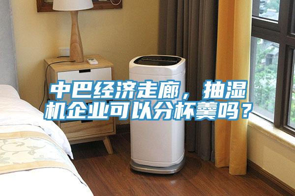 中巴經(jīng)濟(jì)走廊，抽濕機(jī)企業(yè)可以分杯羹嗎？