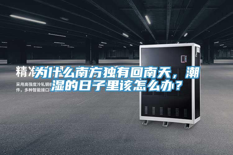 為什么南方獨(dú)有回南天，潮濕的日子里該怎么辦？