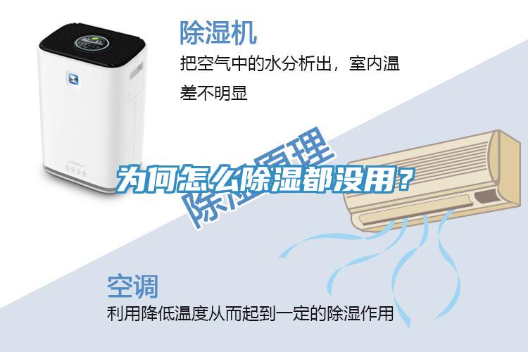為何怎么除濕都沒用？