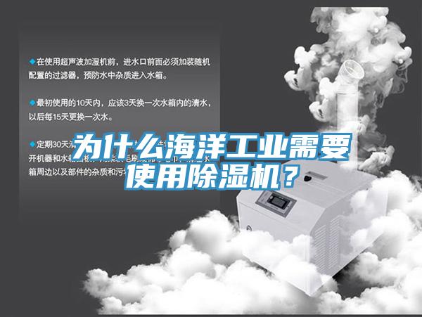 為什么海洋工業(yè)需要使用除濕機(jī)？