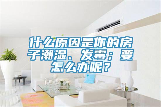什么原因是你的房子潮濕、發(fā)霉；要怎么辦呢？