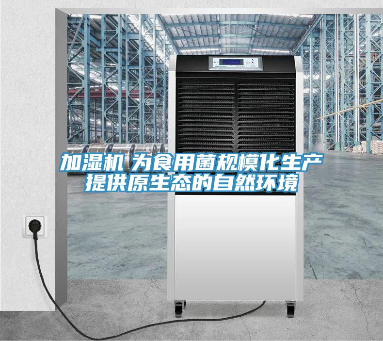 加濕機　為食用菌規(guī)?；a(chǎn)提供原生態(tài)的自然環(huán)境
