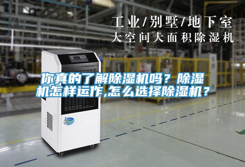 你真的了解除濕機嗎？除濕機怎樣運作,怎么選擇除濕機？
