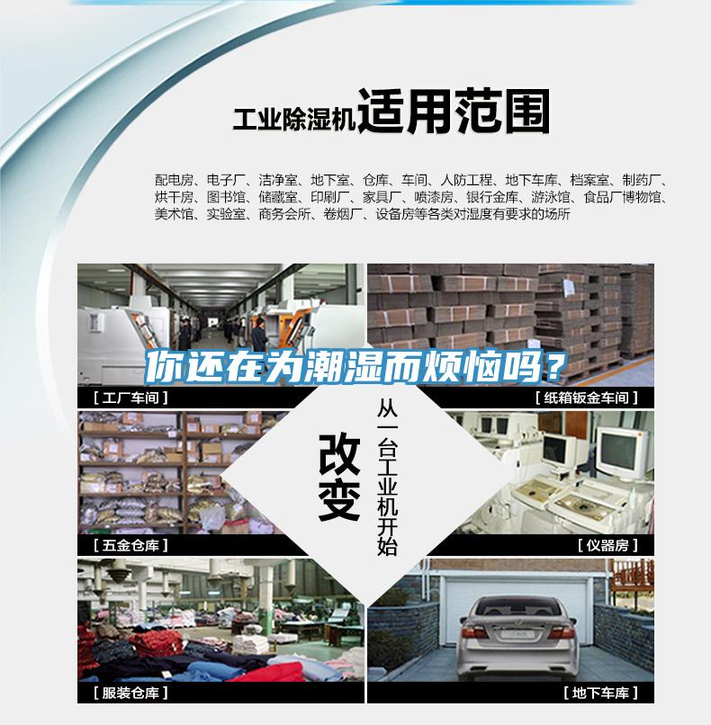你還在為潮濕而煩惱嗎？