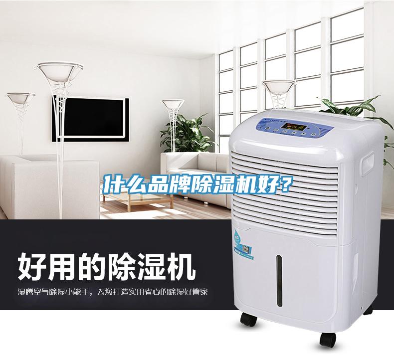 什么品牌除濕機好？