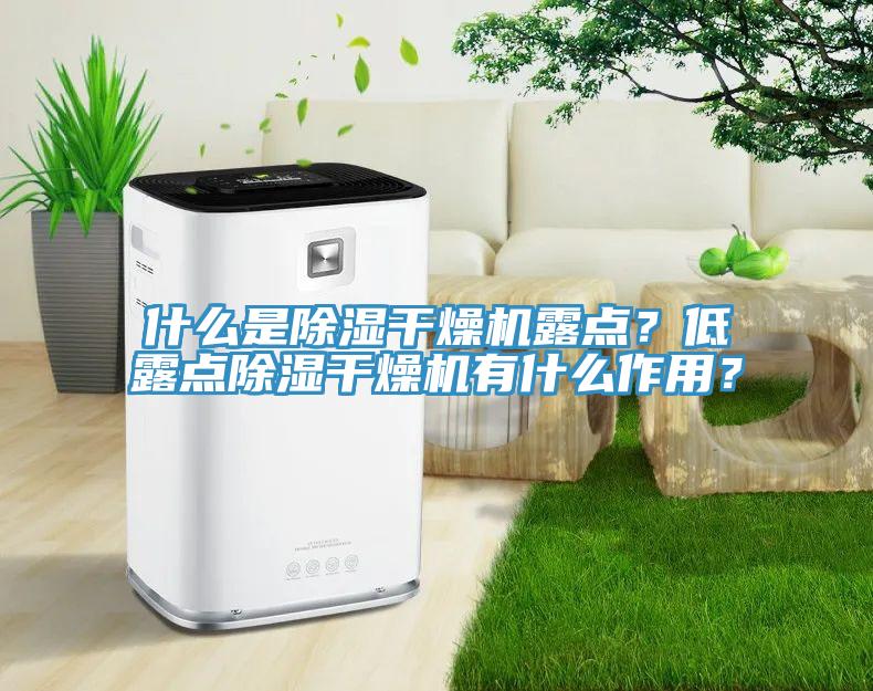 什么是除濕干燥機露點？低露點除濕干燥機有什么作用？