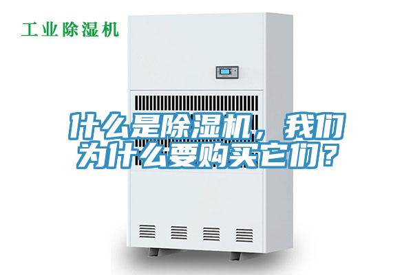 什么是除濕機，我們?yōu)槭裁匆徺I它們？