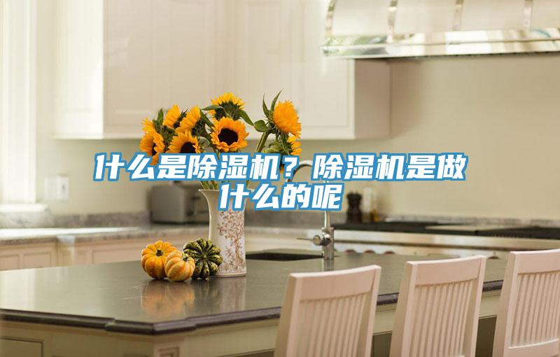 什么是除濕機？除濕機是做什么的呢