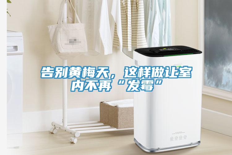 告別黃梅天，這樣做讓室內(nèi)不再“發(fā)霉”