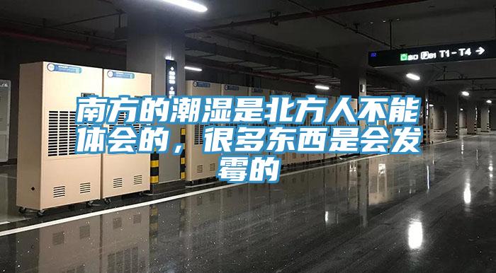 南方的潮濕是北方人不能體會(huì)的，很多東西是會(huì)發(fā)霉的