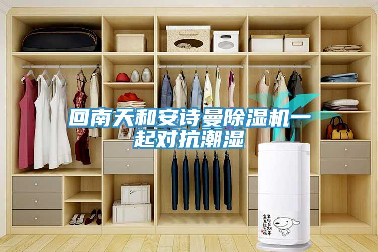 回南天和安詩曼除濕機一起對抗潮濕
