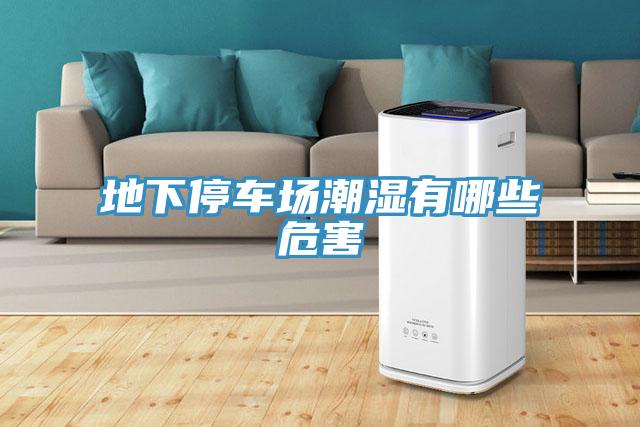 地下停車(chē)場(chǎng)潮濕有哪些危害