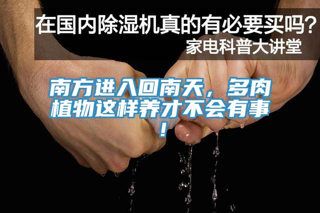 南方進(jìn)入回南天，多肉植物這樣養(yǎng)才不會(huì)有事！