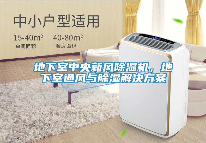 地下室中央新風(fēng)除濕機(jī)，地下室通風(fēng)與除濕解決方案