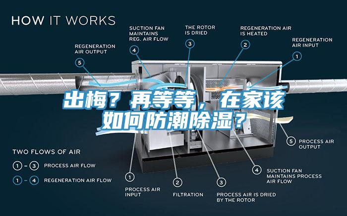 出梅？再等等，在家該如何防潮除濕？