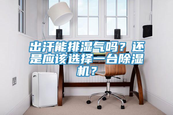 出汗能排濕氣嗎？還是應(yīng)該選擇一臺(tái)除濕機(jī)？