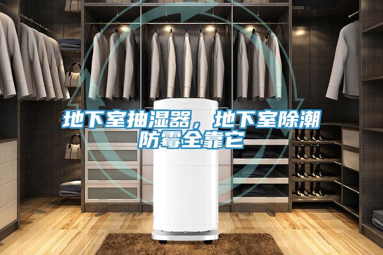 地下室抽濕器，地下室除潮防霉全靠它