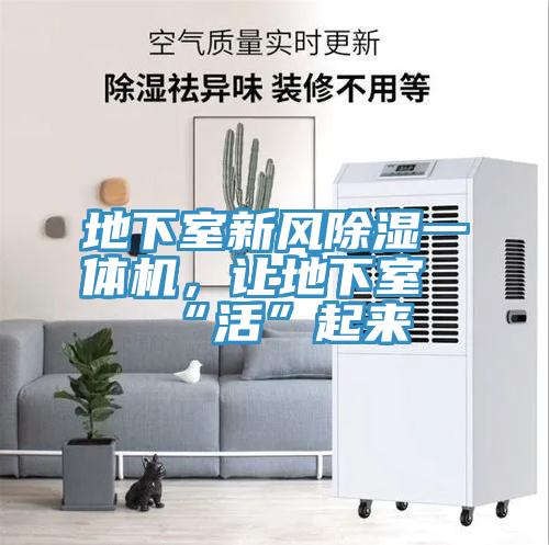 地下室新風(fēng)除濕一體機，讓地下室“活”起來