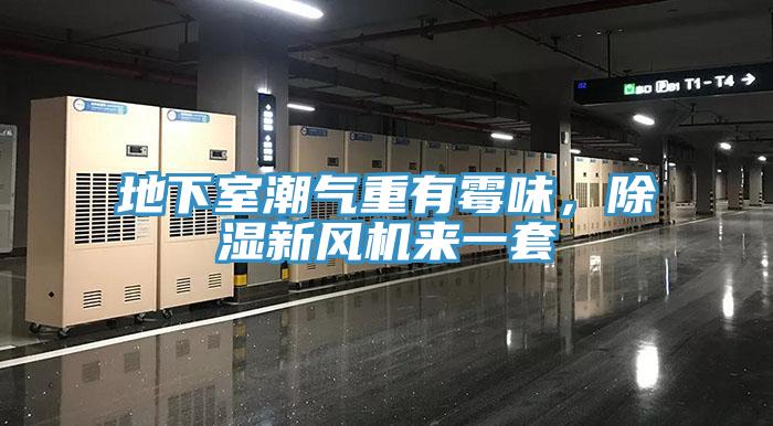 地下室潮氣重有霉味，除濕新風(fēng)機來一套