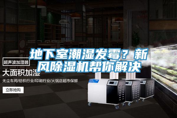 地下室潮濕發(fā)霉？新風(fēng)除濕機幫你解決