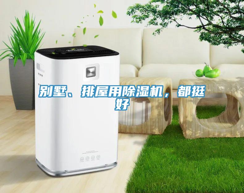 別墅、排屋用除濕機(jī)，都挺好