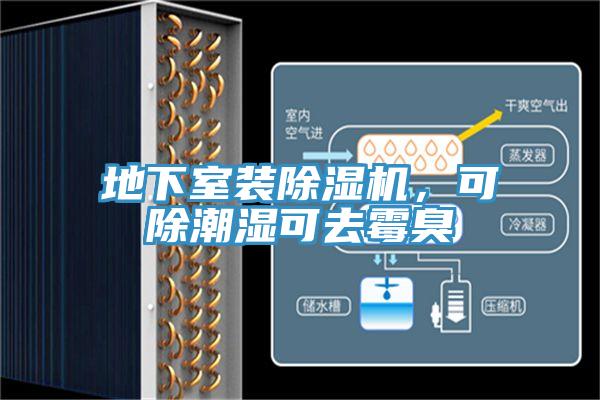 地下室裝除濕機(jī)，可除潮濕可去霉臭