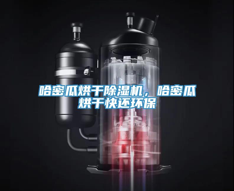 哈密瓜烘干除濕機(jī)，哈密瓜烘干快還環(huán)保