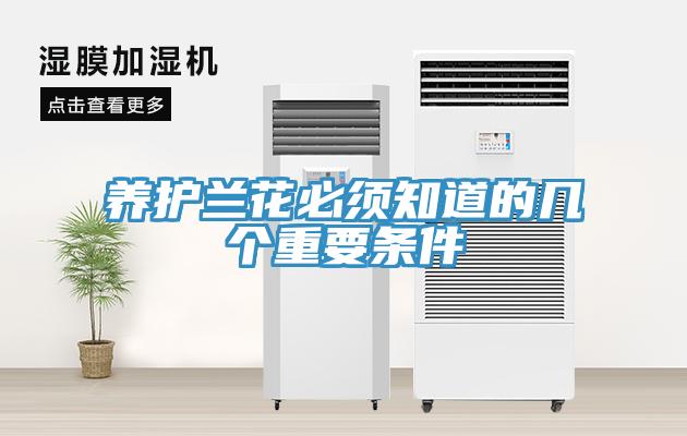 養(yǎng)護(hù)蘭花必須知道的幾個(gè)重要條件