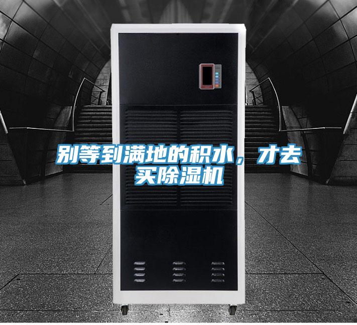 別等到滿地的積水，才去買除濕機