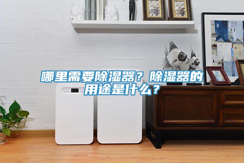 哪里需要除濕器？除濕器的用途是什么？