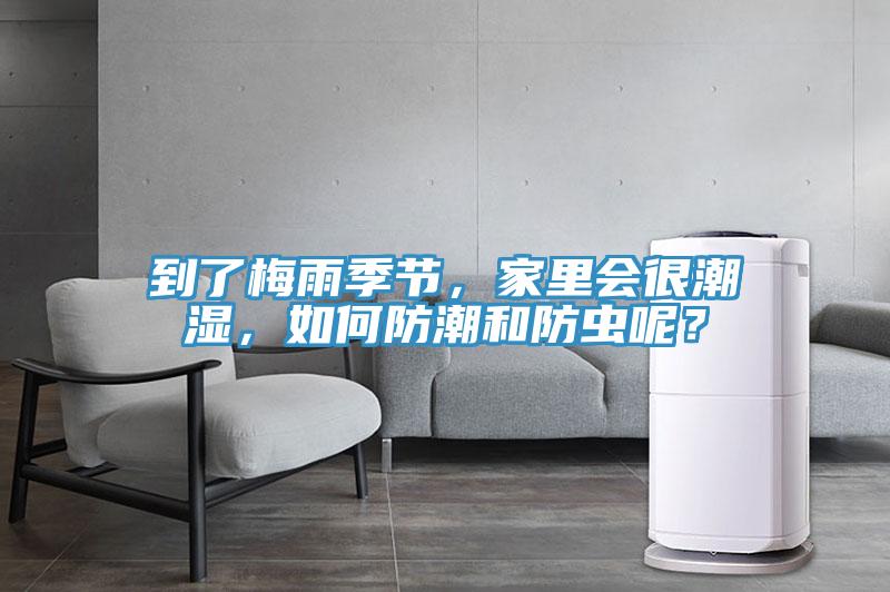 到了梅雨季節(jié)，家里會(huì)很潮濕，如何防潮和防蟲(chóng)呢？