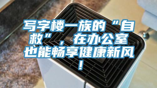 寫(xiě)字樓一族的“自救”，在辦公室也能暢享健康新風(fēng)！