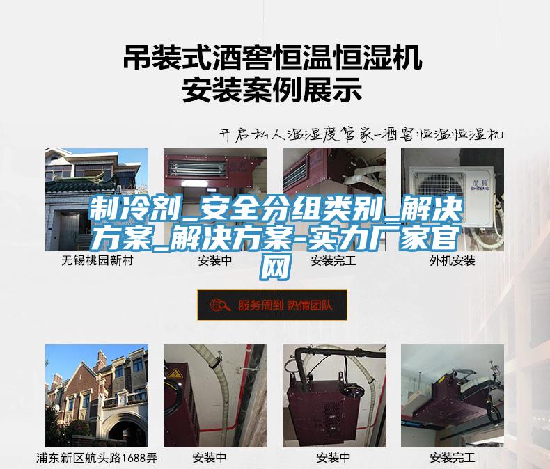制冷劑_安全分組類(lèi)別_解決方案_解決方案-實(shí)力廠(chǎng)家官網(wǎng)