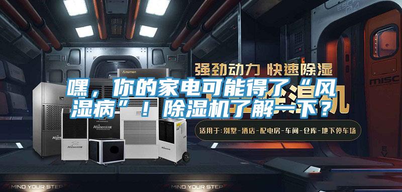 嘿，你的家電可能得了“風(fēng)濕病”！除濕機了解一下？