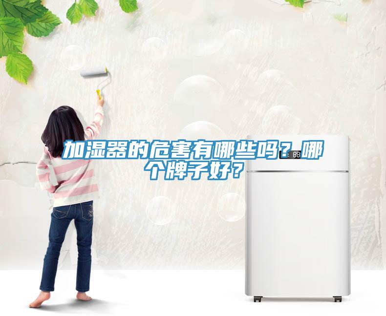 加濕器的危害有哪些嗎？哪個牌子好？