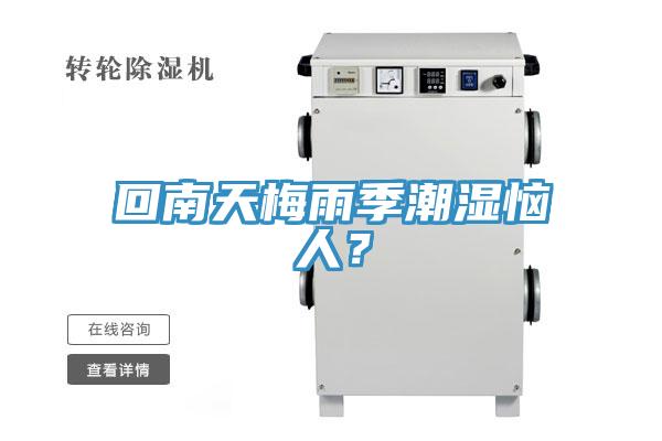 回南天梅雨季潮濕惱人？