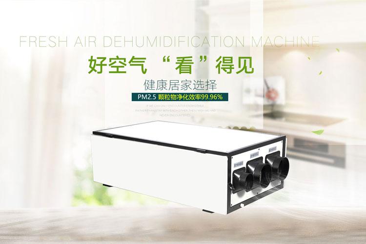 千元內(nèi)除濕機(jī)就可以解決家庭車庫潮濕問題